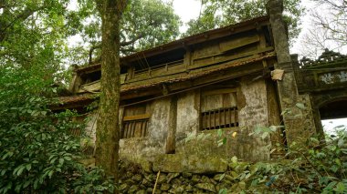 Ormandaki eski ahşap ev