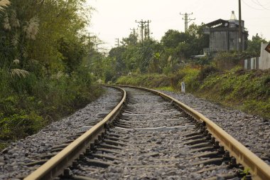 Ormandaki tren yolu.
