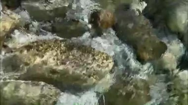 Bir dağ nehrinde taşların üzerinden akan saf kristal şeffaf su.