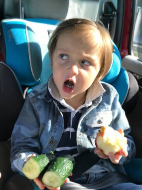 Güvenli araba koltuğunda, elinde elma ve elinde salatalıkla ailesine küfreden huysuz bir çocuk. Duygular. Güvenlik kavramı