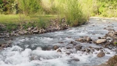 Yeşil bir ormanın ortasında kayaların üzerinden akan bir dağ nehri..