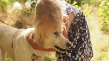Küçük kız sahibini bekleyen bir köpekle konuşurken sarılır ve onu sakinleştirir.