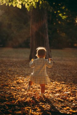 Kareli kıyafet giymiş bir çocuk sonbahar yapraklarıyla kaplı bir ormanı geziyor ve keşfediyor. Çocuk düşen yaprakların arasında duruyor, sıcak ve eğlenceli bir sahne yaratıyor.
