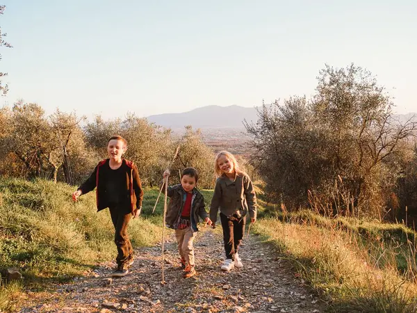 Bir grup çocuk, zeytin ağaçlarıyla çevrili manzaralı bir dağ yolunda mutlu bir yürüyüş yapıyorlar. Çocuklar mutluluğu ve macerayı ifade eder, doğada mükemmel bir sonbahar gününü yakalarlar..