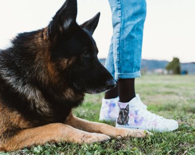 Alman kurdu kot pantolon ve spor ayakkabı giymiş birinin bacaklarının yanında çimlerin üzerinde yatıyordu. Bir ayakkabı, evcil hayvan ve insan arasındaki doğal bağı vurgulayan bir köpek tasarımı içerir..