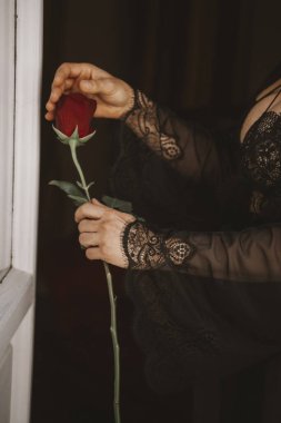 Dantelli kollu bir kadının eli açık bir pencerenin yanında tek bir kırmızı gül tutuyor. Narin dantel, canlı gülle çelişiyor. Romantizm ve zarafet temalarını çağrıştırıyor.