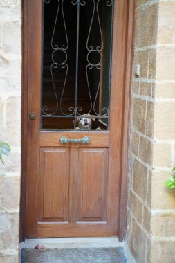 Köpek tuhaf bir şekilde ahşap bir kapının arkasından demiriyle dışarı bakıyor. Sahne, kapıyı çevreleyen sıcak taş duvarlarla, sıcak bir atmosfer yaratarak beklentiyi yakalıyor..