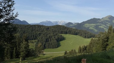 Görkemli dağ manzarasında yemyeşil ormanlar, yuvarlanan tepeler ve uzak tepeler bulunur. Yoğun ağaçlar ve açık mavi gökyüzü altında geniş yeşilliklerle doğanın dingin güzelliğini yakalar.