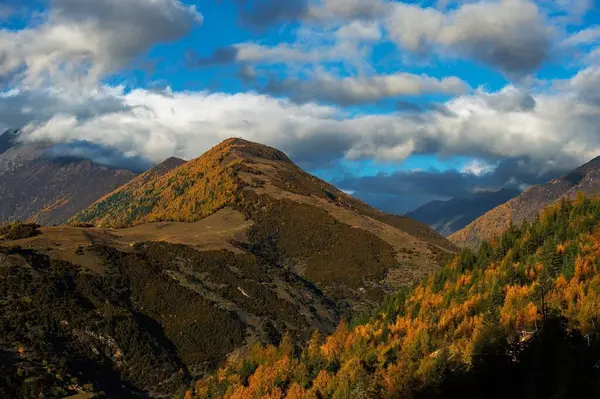 21 Temmuz 'da Çin' deki Qinghai Platosu 'nu ziyaret edin.