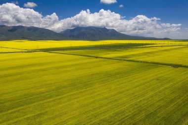 3 Temmuz 'da Çin' deki Qinghai Platosu 'nu ziyaret edin.