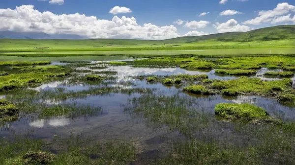 17 Temmuz 'da Çin' deki Qinghai Platosu 'nu ziyaret edin.