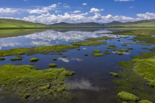 16 Temmuz 'da Çin' deki Qinghai Platosu 'nu ziyaret edin.