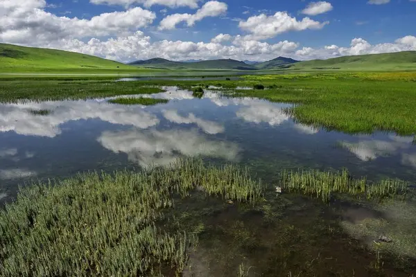13 Temmuz 'da Çin' deki Qinghai Platosu 'nu ziyaret edin.