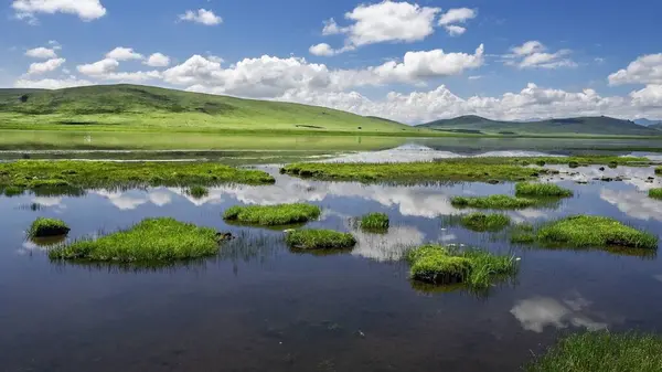 5 Temmuz 'da Çin' deki Qinghai Platosu 'nu ziyaret edin.
