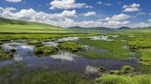 2 Temmuz 'da Çin' deki Qinghai Platosu 'nu ziyaret edin.