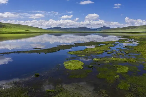 1 Temmuz 'da Çin' deki Qinghai Platosu 'nu ziyaret edin.