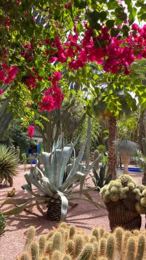 Renkli Bahçe Marakeş Fas 6