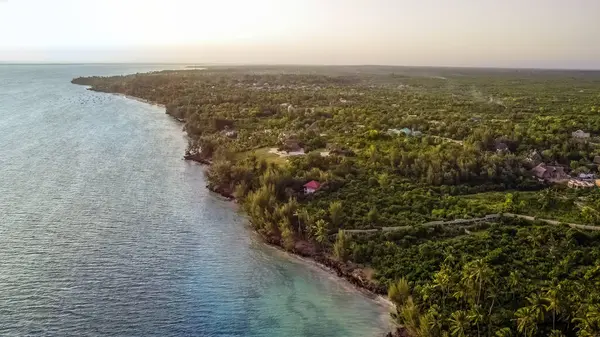 Tatil için deniz ve hindistan cevizi ağaçları olan güzel tropik plaj, Zanzibar, Tanzanya