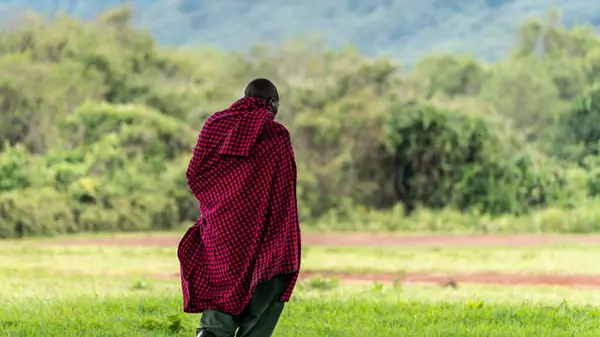 Geleneksel elbiseli Afrikalı genç adam, Serengeti Ulusal Parkı, Tanzanya