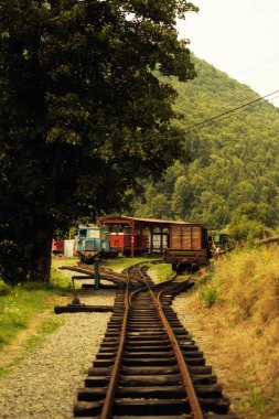 A scenic view of old railway tracks curving through lush green mountains, with abandoned train cars and rusty wagons resting on the side. clipart