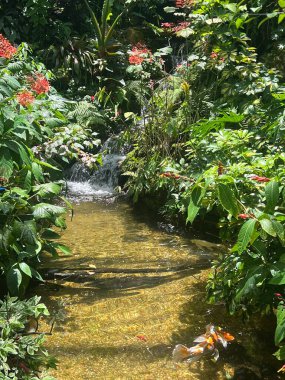 Güzel göl manzarası