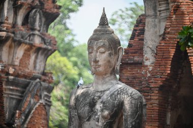 Wat Mahathat temple, Ancient place, Ayutthaya