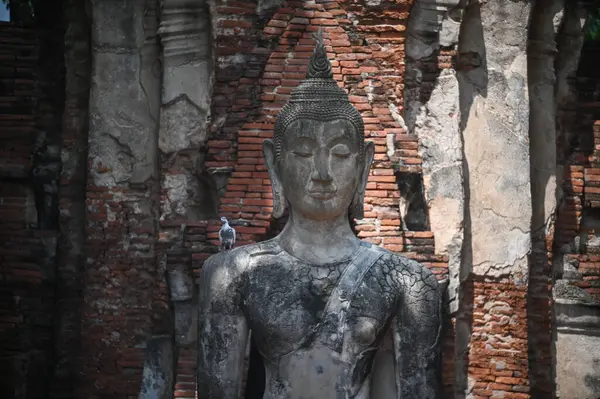 Wat Mahathat temple, Ancient place, Ayutthaya