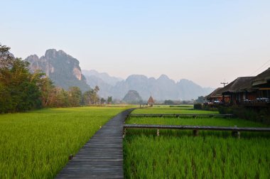 ViengTara VangVieng Resort, Laos, Scenic Pathway Through Lush Green Fields