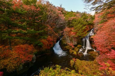 Ryuzu Falls with changing maple leaves, Nikko, Japan