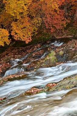 Ryuzu Falls with changing maple leaves, Nikko, Japan clipart