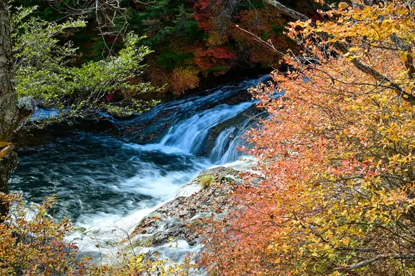 stock image Ryuzu Falls with changing maple leaves, Nikko, Japan