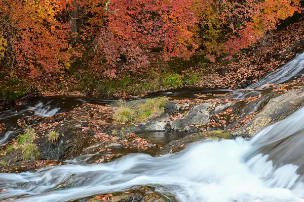 Stock image Ryuzu Falls with changing maple leaves, Nikko, Japan