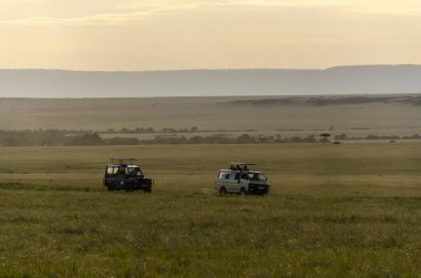 Bir grup arazi gezgini, vahşi yaşam safarisi sırasında Masai Mara Ulusal Parkı 'nın zorlu arazilerinde geziniyorlar.