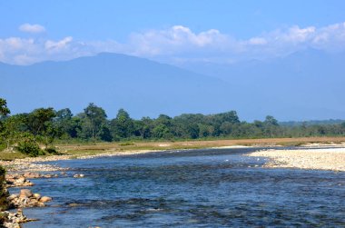 Batı Bengal eyaletinin kuzeydoğusundaki bir milli parkın güzel manzarası ve sık ormanların arasından akan bir nehir.