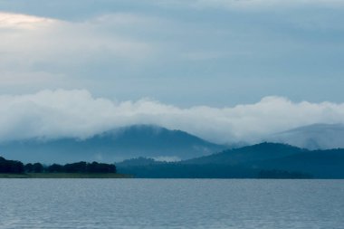 Bhadra Barajı 'nın içinde bir tekne safarisi sırasında Bhadra kaplanı arazisi.
