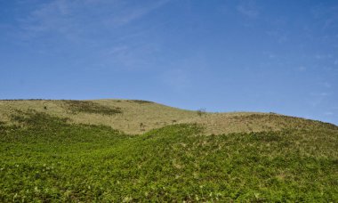 Güney Dakota, ABD 'deki Badlands Ulusal Parkı yolunda güzel bir çayır manzarası.