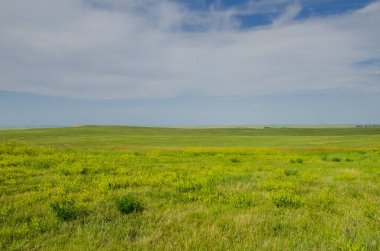 Güney Dakota, ABD 'deki Badlands Ulusal Parkı yolunda güzel bir çayır manzarası.