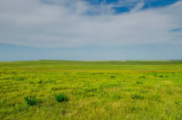 Güney Dakota, ABD 'deki Badlands Ulusal Parkı yolunda güzel bir çayır manzarası.