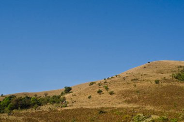 Rotikallu 'nun eteklerindeki tepeye doğru yürürken güzel bir çayır.