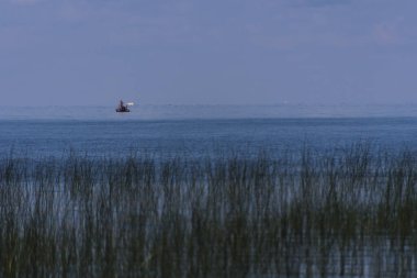 Minnesota 'daki Duluth şehrinin eteklerindeki gölde kanosunu alan bir kanocu.