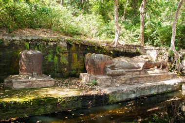 Shesha Shayana, Bhandavgarh kaplanının içinde uyuyan vishnu heykeli. Sıcak bir yaz günü vahşi yaşam safarisi sırasında.