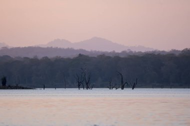 Kabini 'nin durgun sularında güzel bir günbatımı Nagarhole kaplanı koruma alanı içinde vahşi bir safari sırasında