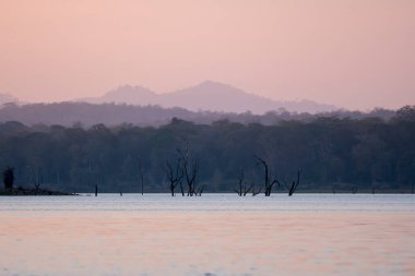 A beautiful sunset in the Kabini backwaters inside Nagarhole tiger reserve during a wildlfie safari clipart