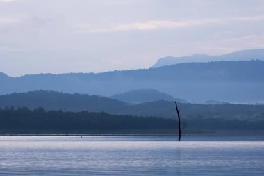 A beautiful landscape of fog covered mountains and bhadra forest in the backwaters of Bhadra river inside Bhadra tiger reserve during a wildlife safari clipart