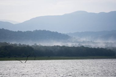 Bhadra nehrinin durgun sularında Bhadra kaplanı koruma alanı içinde vahşi yaşam safarisi sırasında, dağları ve bhadra ormanlarını kaplayan güzel bir sis manzarası.