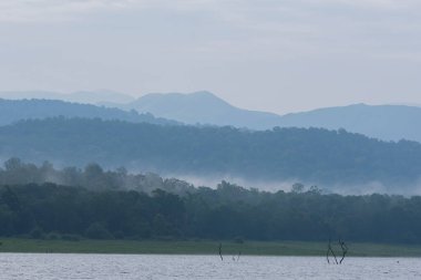 Bhadra nehrinin durgun sularında Bhadra kaplanı koruma alanı içinde vahşi yaşam safarisi sırasında, dağları ve bhadra ormanlarını kaplayan güzel bir sis manzarası.