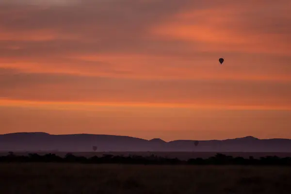 stock image A hot-air ballon raising from the grasslands with the beautiful sunrise colours in the background inside Masai Mara National Refuge during a wildlife safari