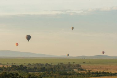 Masai Mara 'nın güzel manzarası arka planda yükselen sıcak hava balonlarıyla vahşi yaşam safarisi sırasında Masai Mara Ulusal Sığınağı düzlüklerinde