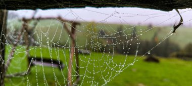 Arkaplanda kırsal bir manzara olan ahşap bir çitte yağmur damlaları üstüne yağmur damlaları olan örümcek ağı. Doğanın sonbahar desenleri. Sonbahar yağmurlu havası. 