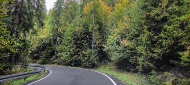 Sonbahar ormanındaki asfalt yolda dağlardaki ağaçların arasında. Arabayla yolculuk. Sonbaharda güzel bir orman. 